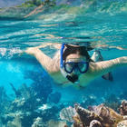 Snorkeling with marine biology in Lloret de Mar